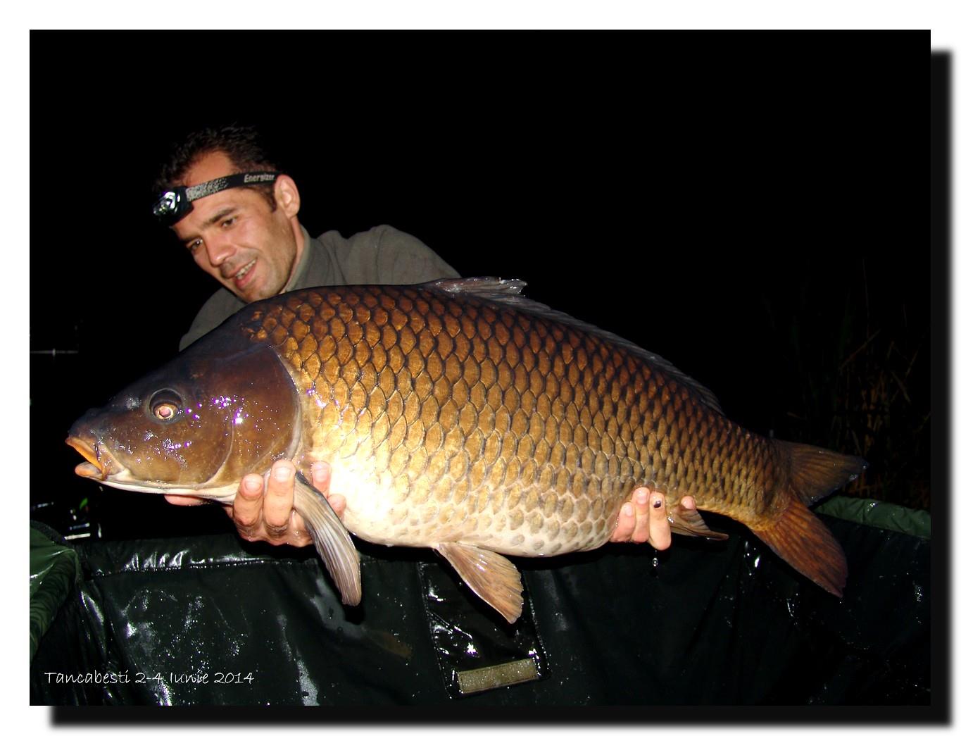 1-4 iunie tancabesti - dsc00326.jpg